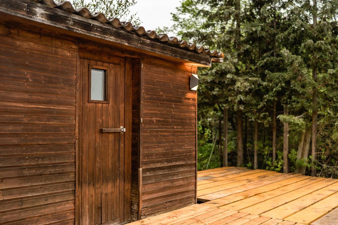 Die Entspannendste Wohnung Am Edersee - Spa Sauna Edertal Zewnętrze zdjęcie